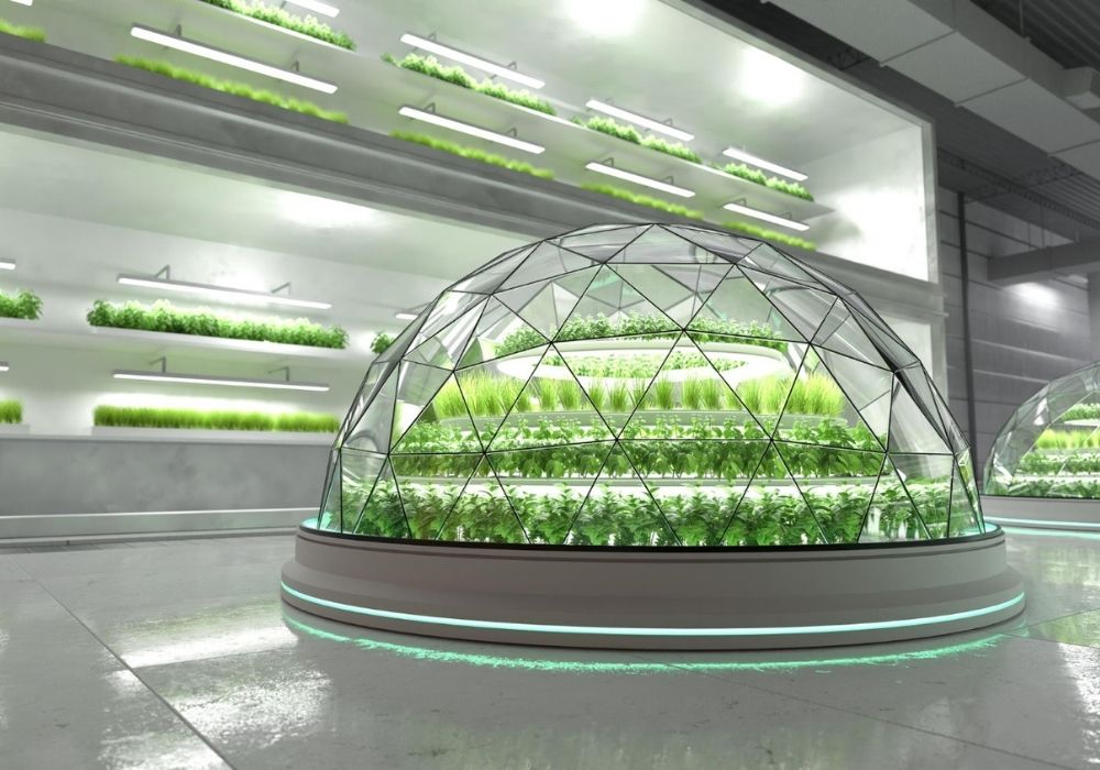 غرفه سازی سبز چیست